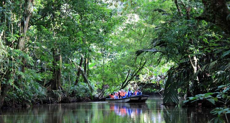 Bateau rempli de touristes naviguant dans un étroit canal de forêt tropicale bordé d'arbres avec des reflets sur une eau calme.