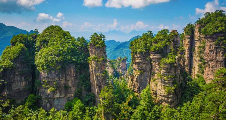 Towering sandstone pillars and lush forest of a dramatic mountain gorge under blue skies