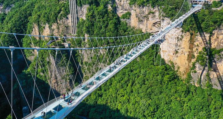 Glass-bottomed suspension bridge spans a deep green gorge in Zhangjiajie with visitors crossing