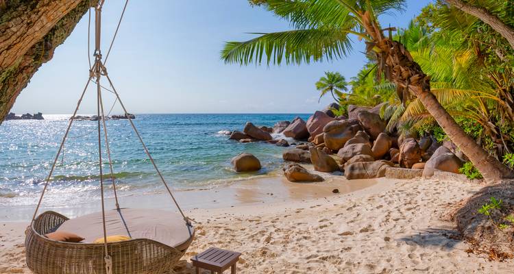 Secluded tropical beach with a hanging daybed swing beneath a tree overlooking turquoise water