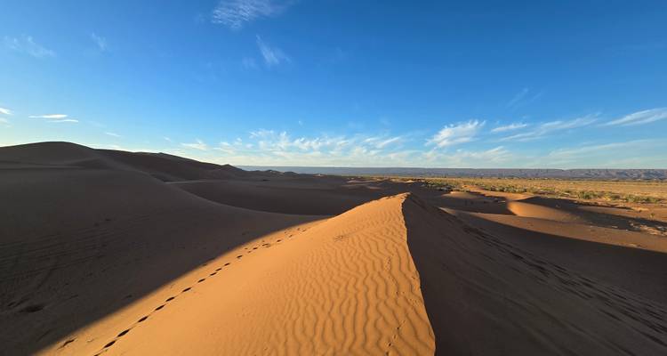 Golden sand dune ridge with wind-sculpted ripples under a brilliant blue sky and wispy clouds.