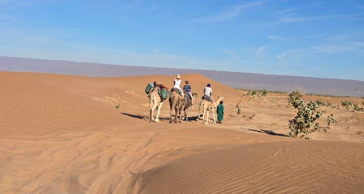 Small caravan of camels with travelers crosses a flat desert plain beneath a vivid blue sky.