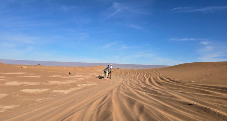 A lone camel rider leads the way across a broad, vehicle-scarred desert plain.