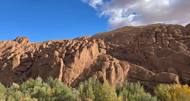Rugged reddish rock formations tower above a belt of green trees under scattered clouds.