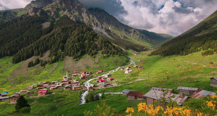 Valle montañoso y verde salpicado de pequeñas casas de pueblo, un arroyo serpenteante y flores silvestres bajo nubes dramáticas