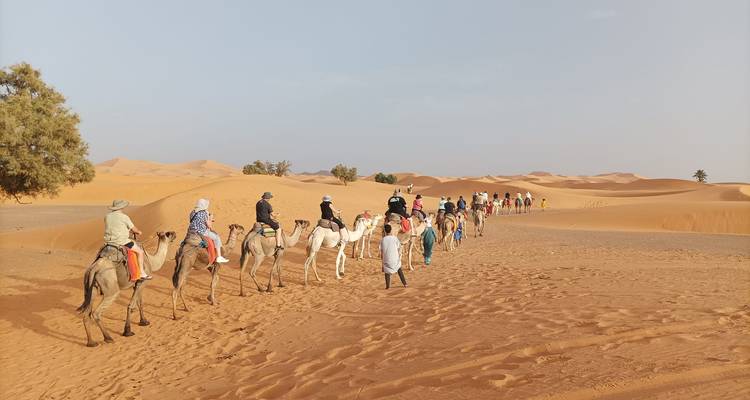 Long caravan of tourists riding camels across rolling golden dunes of the Sahara Desert.