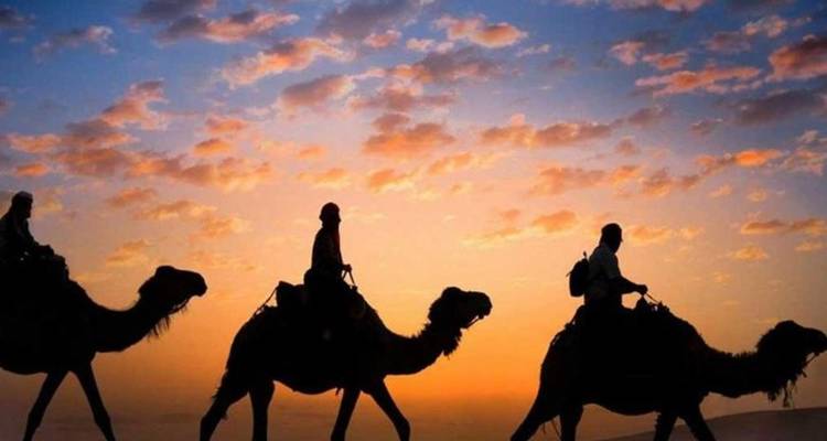 Silhouettes of three camels and riders crossing the desert against a vivid orange and purple sunset sky.