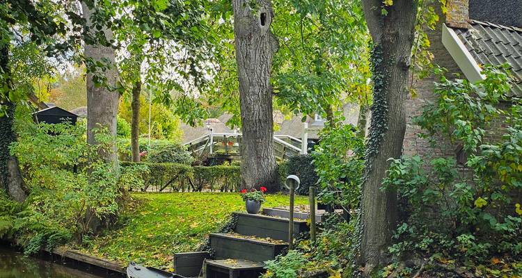 Scène de jardin verdoyant avec de petites marches en bois descendant vers un canal tranquille à Giethoorn.