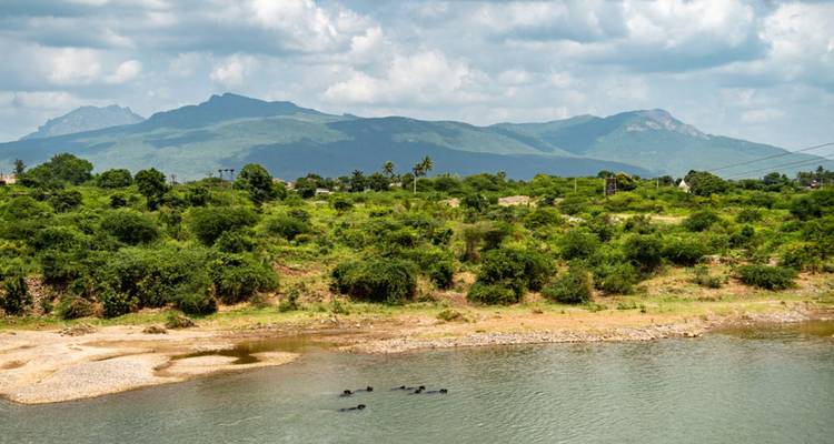 Grüne Landschaft mit vereinzelten Bäumen und einer entfernten Bergkette jenseits eines ruhigen Flusses