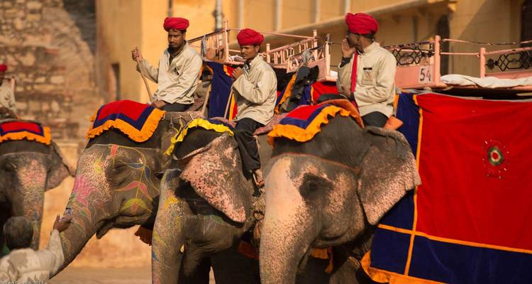 Colorfully painted elephants with mahouts wearing red turbans line up for rides near a sandstone fort.