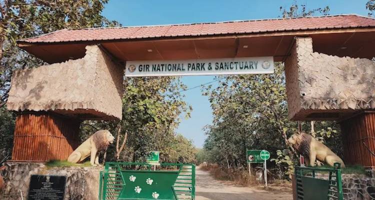 Steinerner Eingangstor zum Gir National Park & Sanctuary, flankiert von zwei Löwenstatuen