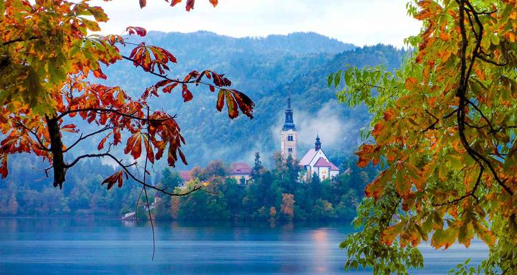 Le pittoresque lac de Bled encadré par le feuillage automnal avec son église insulaire au milieu des collines brumeuses.