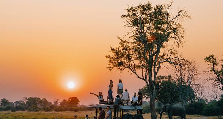 Open safari vehicle with travellers watching an elephant during a vivid orange sunset on the savanna.
