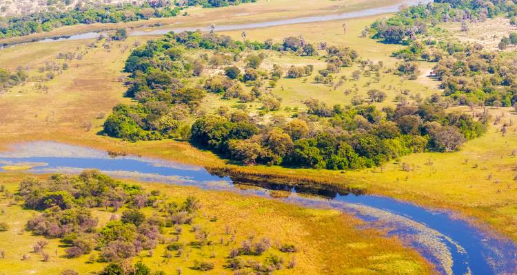 Colorful aerial panorama of winding channels and lush islands in the Okavango Delta.