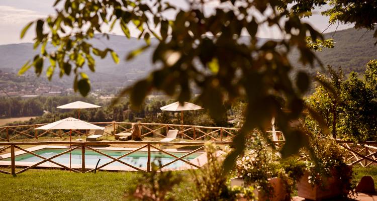 Countryside swimming pool with umbrellas overlooking rolling hills, framed by leafy branches
