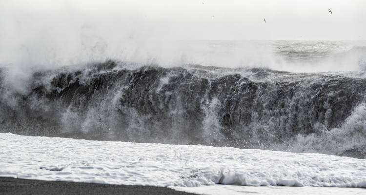 Massive graue Welle, die auf einen Schwarzsandstrand mit Gischt und Schaum kracht.