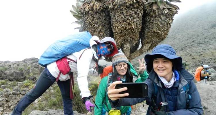 Des randonneurs souriants prennent un selfie à côté d'une imposante plante de séneçon géant dans la zone alpine brumeuse du Kilimandjaro.
