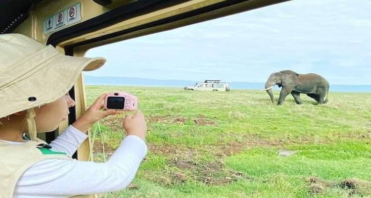 From a safari vehicle, a child photographs a lone elephant walking across open grassland.