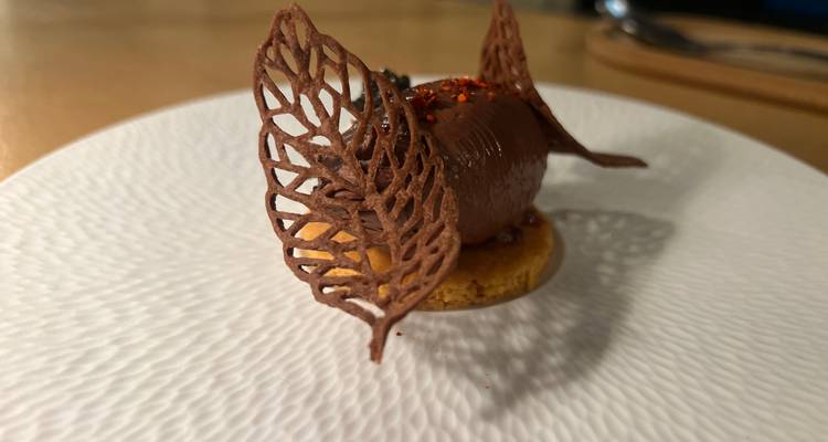 Elegant plated chocolate dessert with delicate cocoa tuile on a textured white plate.