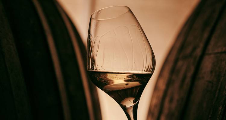 Silhouetted glass of white wine held between wooden barrels with warm ambient light.