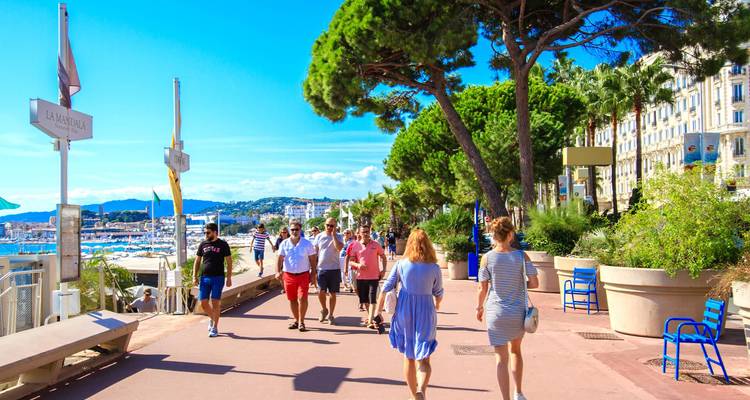 Les gens se promènent le long d'une promenade ensoleillée ombragée par des pins à côté de la marina à Cannes.
