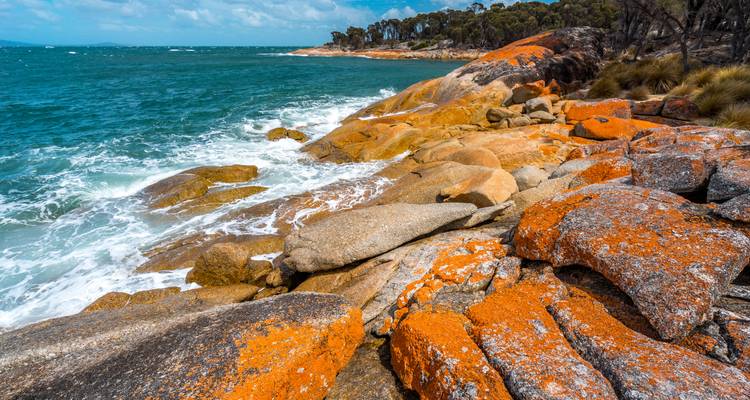 Grandes rocas de granito cubierto de líquenes naranja vibrante que se encuentran con el mar turquesa en una costa escarpada con olas que se estrellan debajo de un cabo distante cubierto de árboles.
