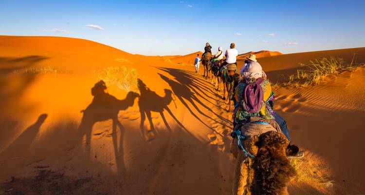 Une caravane de chameaux projette de longues ombres sur des dunes orange incandescentes sous un ciel de fin d'après-midi.