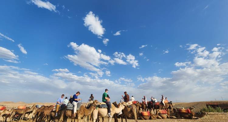 A long line of travellers atop camels crosses an open desert plain beneath a vivid blue, cloud-studded sky.
