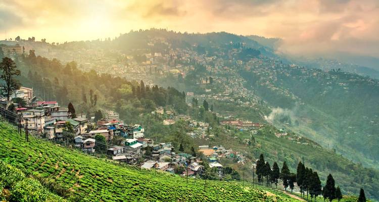 Les collines de thé baignées de soleil et la ville de montagne de Darjeeling sous un ciel brumeux.
