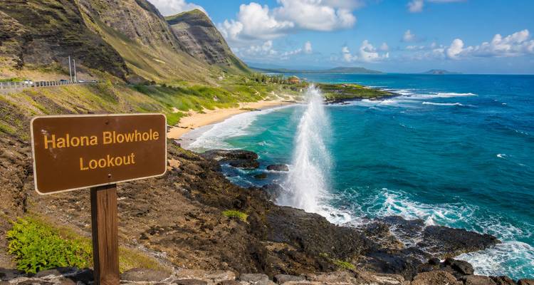 Halona Blowhole shooting a plume of water beside rugged coastline and turquoise ocean, brown sign in foreground.
