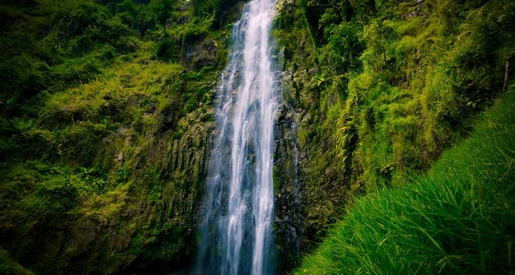 Tall, narrow waterfall cascades down a lush green cliff surrounded by dense tropical vegetation
