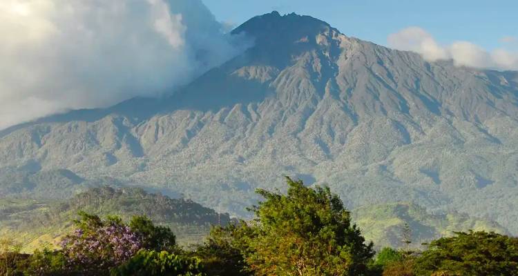 Le mont Kilimandjaro se dresse au-dessus de forêts d'un vert luxuriant tandis que les nuages s'enroulent autour de son sommet.