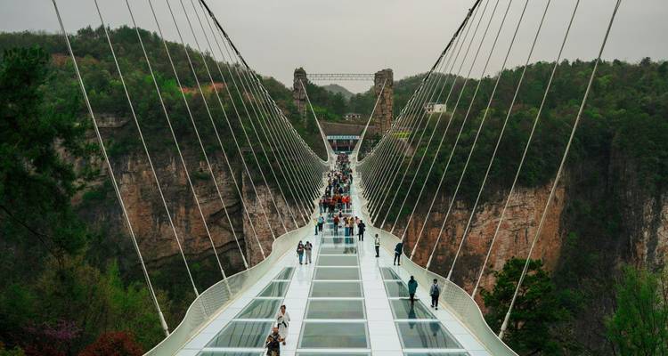 Glaskuppel-Hängebrücke, die eine tiefe Schlucht in Zhangjiajie überbrückt und von Besuchern stark frequentiert wird.