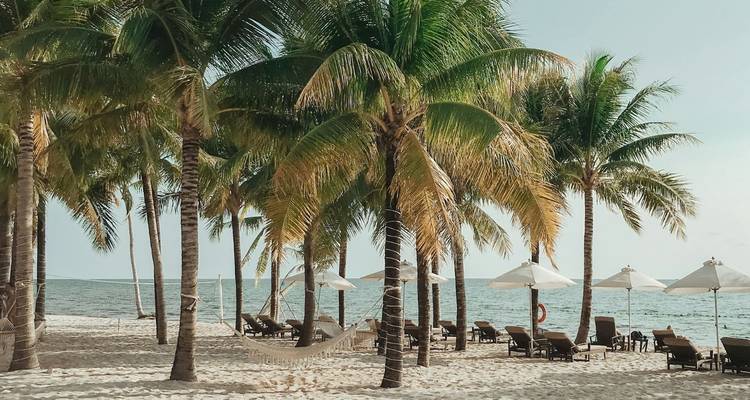 Plage ombragée de palmiers avec chaises longues, parasols et hamac sur sable blanc