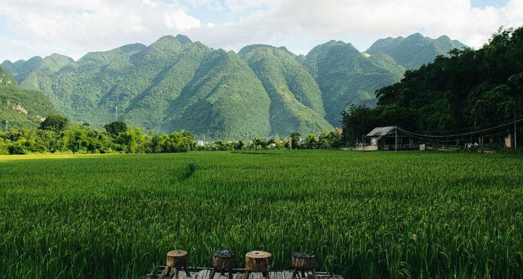Vallée verdoyante entourée de montagnes calcaires boisées sous un ciel dégagé