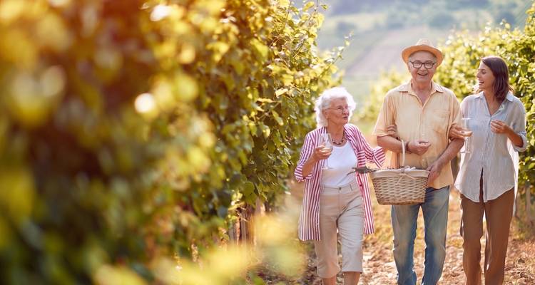 Smiling multigenerational family strolls through sunlit vineyards carrying wine glasses and a picnic basket.