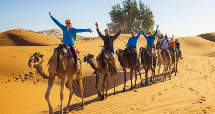 Cheerful travellers ride camels in single file through golden desert sand raising their arms in joy.
