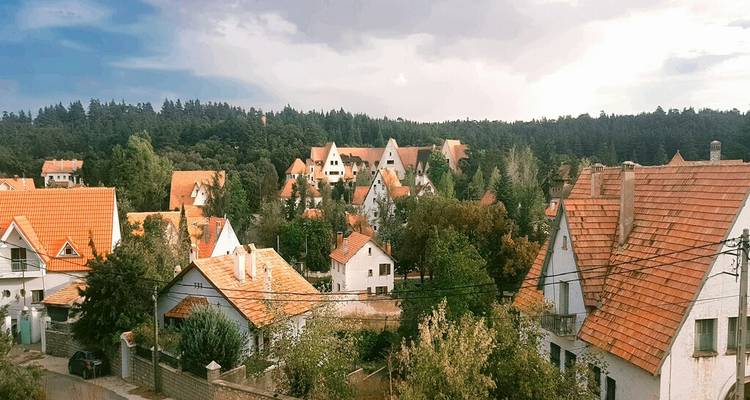 Charming alpine-style houses with orange roofs nestled against a forested hillside in Morocco’s Middle Atlas