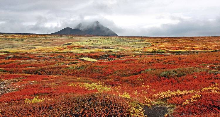 Vasta tundra islandesa cubierta de musgo otoñal en tonos rojo y amarillo vividos con un cono volcánico envuelto en niebla en el horizonte