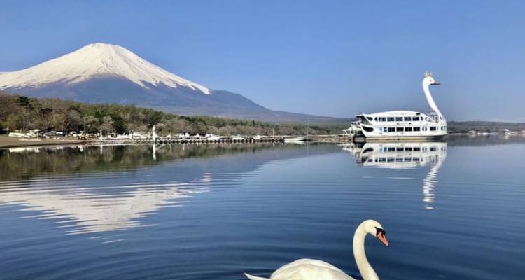 Graceful swan boat and real swan floating on a mirror-calm lake beneath Mount Fuji.
