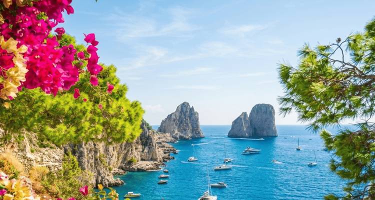 Las icónicas formaciones rocosas Faraglioni frente a Capri enmarcadas por buganvillas y ramas de pino sobre aguas azules salpicadas de yates.