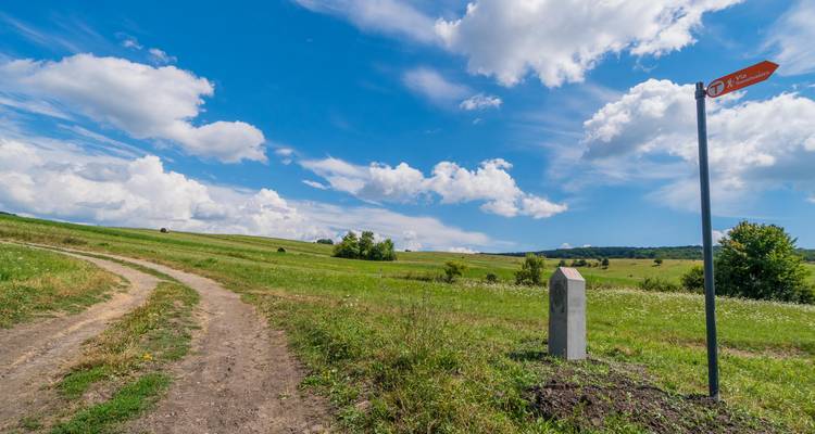 Feldweg, der sich durch offene Wiesen schlängelt, mit einer Via-Transilvanica-Steinsäule und einem Wegweiser unter einem leuchtenden Sommerhimmel.