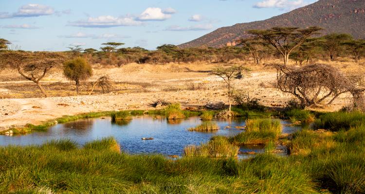 Un pequeño y tranquilo pozo de agua rodeado de pastos y árboles secos en un árido paisaje de sabana.