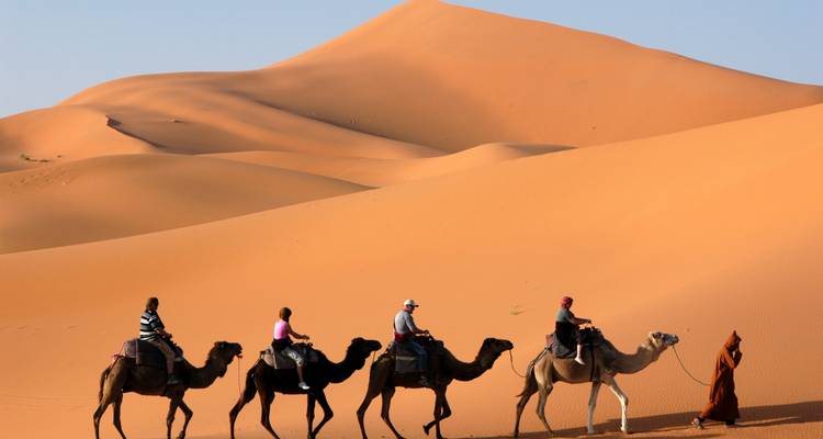 Camel caravan led by guide crossing towering orange dunes under clear sky