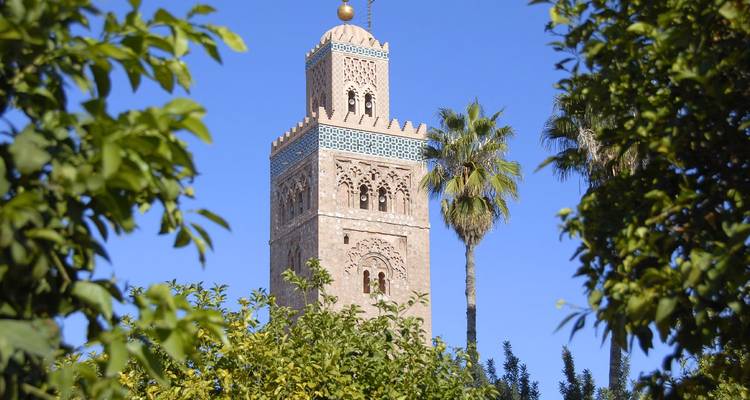 Hoge roze zandstenen minaret die door weelderig groen gebladerte onder een blauwe hemel piept