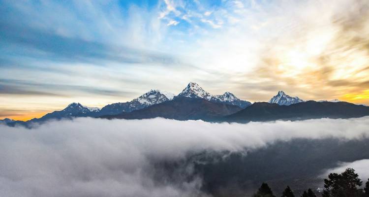 Les pics enneigés de l'Himalaya s'élèvent au-dessus d'une mer de nuages à l'aube, avec une lumière pastel chaude qui perce le ciel.