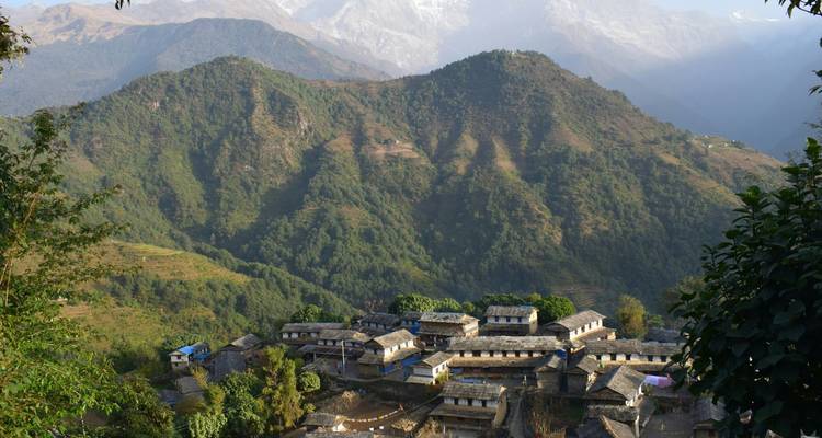 Traditional stone-roofed houses of Ghandruk village cling to a verdant hillside backed by forested mountains.