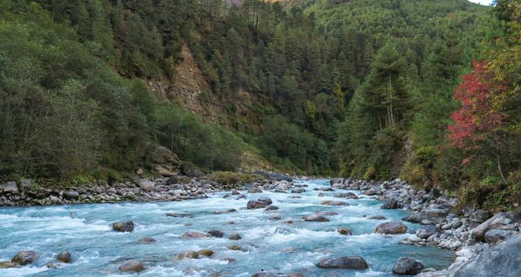Rivière turquoise à débit rapide avec de gros rochers parcourant une vallée forestière dense et verdoyante.