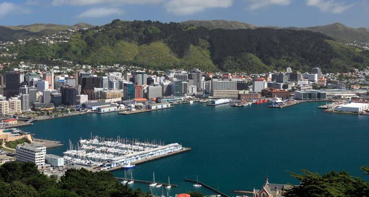 Vue panoramique sur un port vibrant avec les gratte-ciel modernes de la ville en arrière-plan, flanqués de collines verdoyantes et d'eaux bleues.