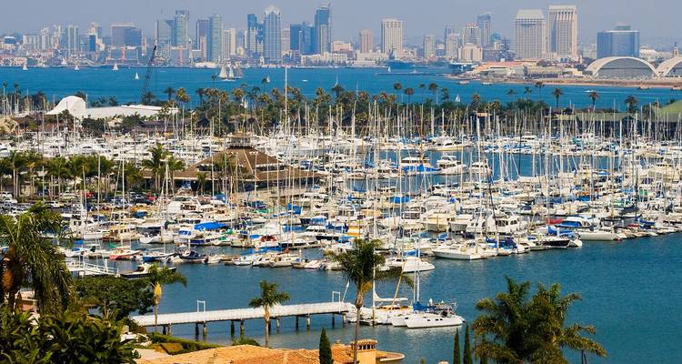 Marina llena de vida con veleros y yates con el horizonte del centro de San Diego y la bahía azul de fondo.